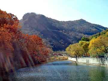 澳门今晚一肖必中特，六道沉沦